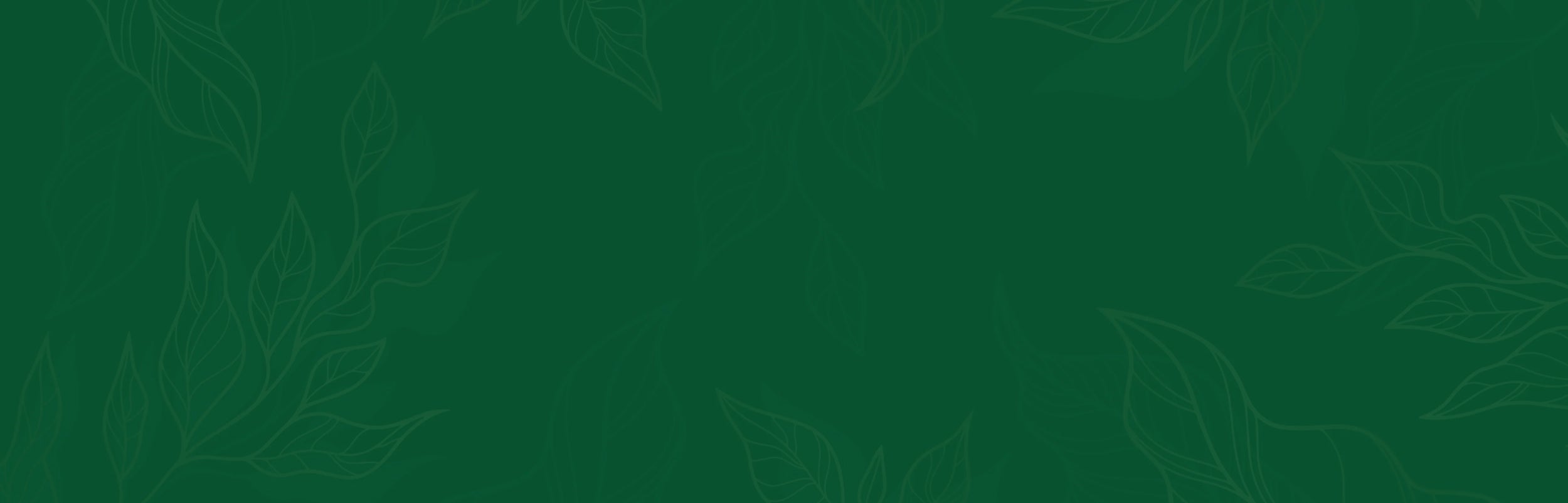 FAQ Background