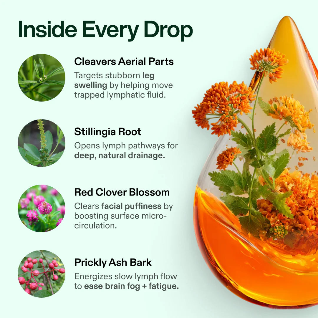 Lymphoria® Lymphatic Drainage Drops