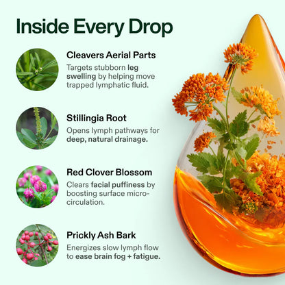 Lymphoria® Lymphatic Drainage Drops
